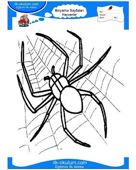 Çocuklar İçin örümcek Boyama Sayfaları 